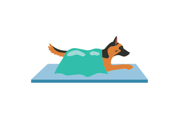 Dog Surgery Art for Medical Crafts
