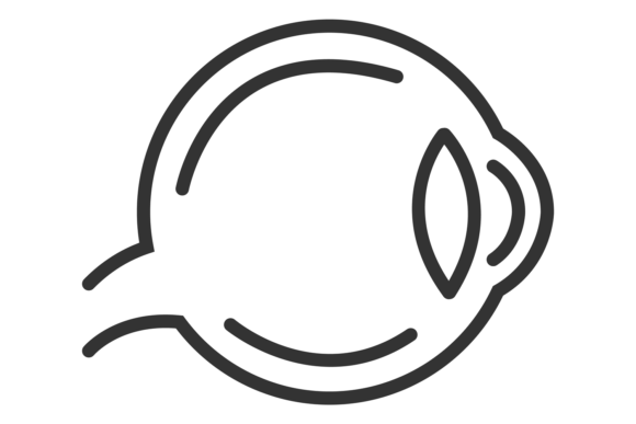 Eye Ball Icon: Graphics and Illustrations Review